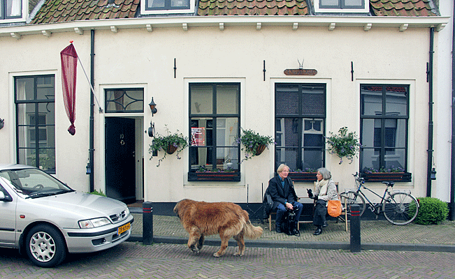 Harderwijk 2007