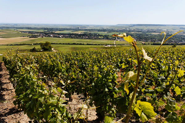 Epernay 2009